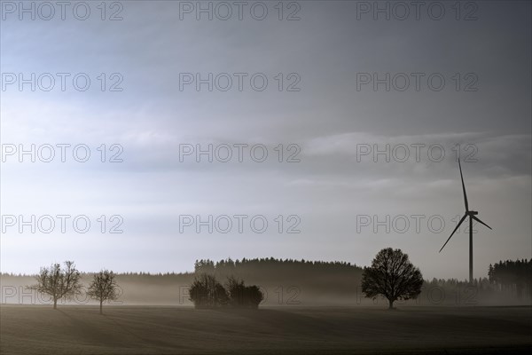 Wiesenlandschaft mit Bodennebel und Windrad
