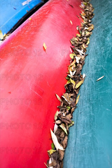 Several canoes with autumn leaves