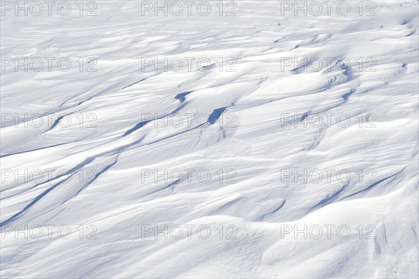 Snowdrift