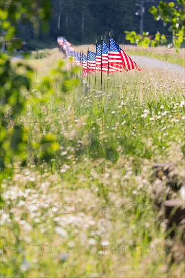 Long row of american flags blowing in wind on fence