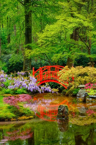 Small bridge in Japanese garden