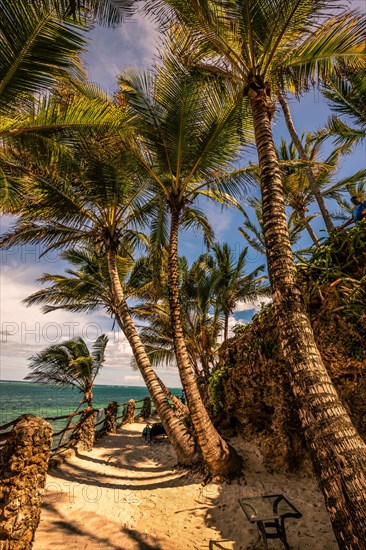 A view between palm trees and stairs to the beach and the sea. Sunset on the Indian Ocean