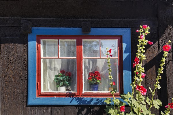 Traditional wooden house