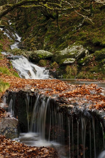 Waterfalls on the Nant Dolfolau stream cascade down the slope into Garreg Ddu reservoir