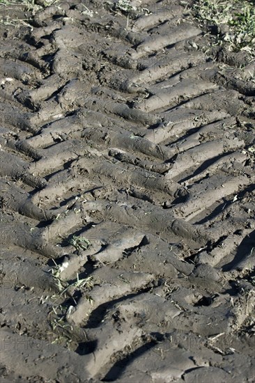 Tractor tyre tracks in muddy field