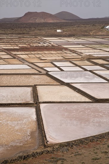 View of active coastal saltpans