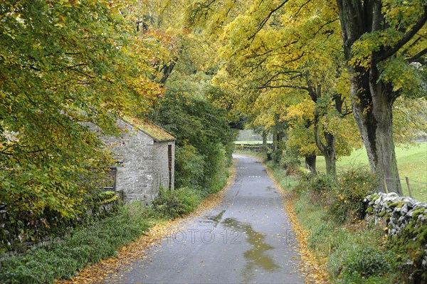 Barn on quiet country road