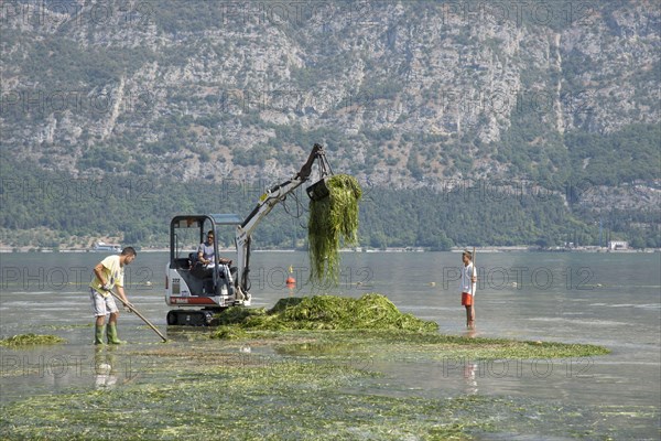 Weed removal from the lake shore near the tourist complex with Bobcat 322