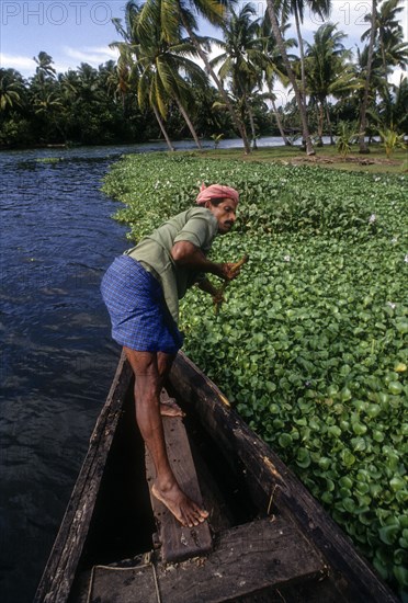 The Kerala backwaters are a chain of brackish lagoons and lakes lying parallel to the Arabian Sea coast known as the Malabar Coast of Kerala