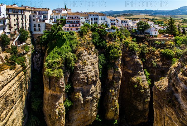 El Tajo gorge carved deep into the rock by the Rio Guadalevin