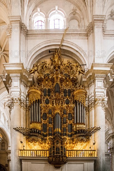 Nave of the cathedral with organ