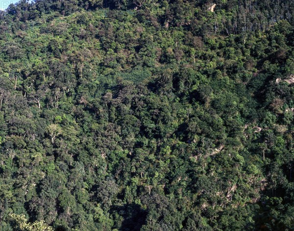 Western Ghats in Nilgiris