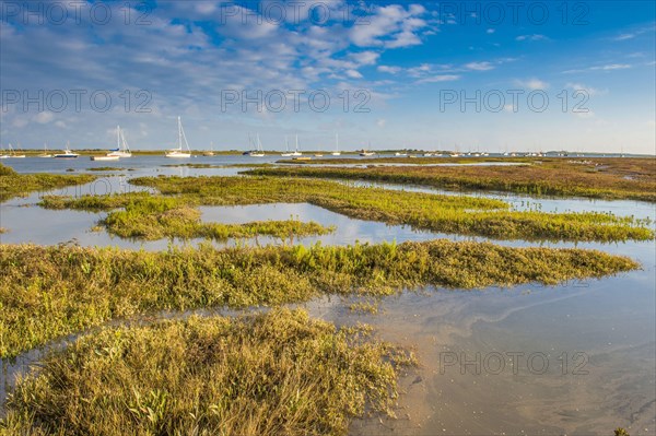 View of estuary saltmarsh habitat and boats with rising tide