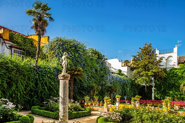 Garden with exotic plants