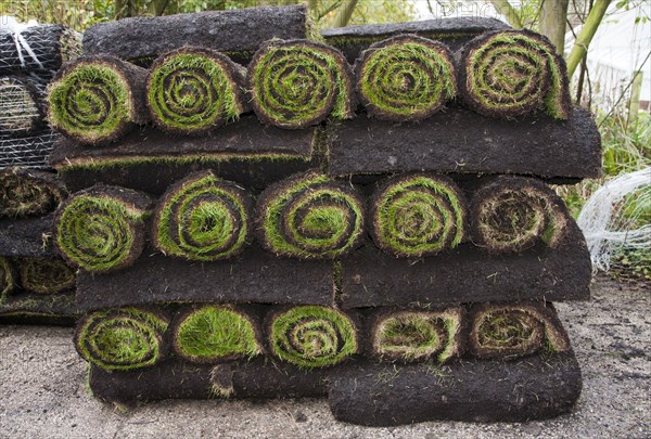 Rolls of lawn turf for laying in garden