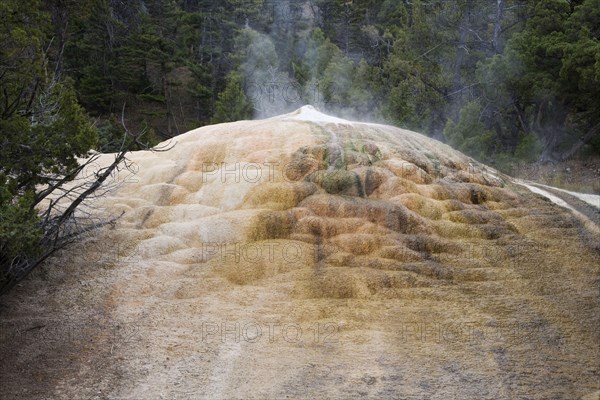 Mineral occurrences at Hotspring