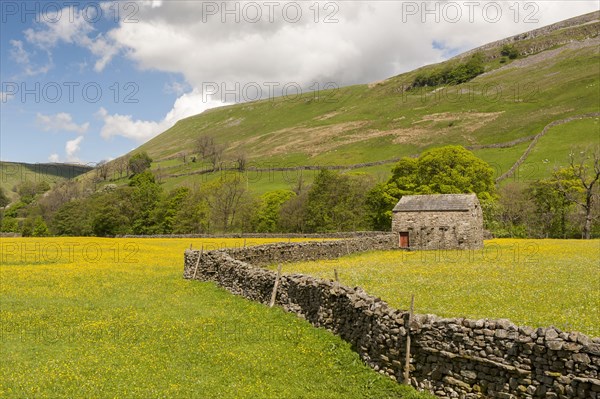 View of dry stone walls