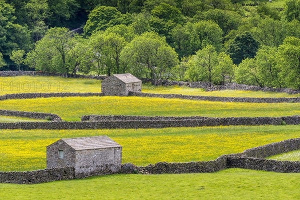 View of dry stone walls