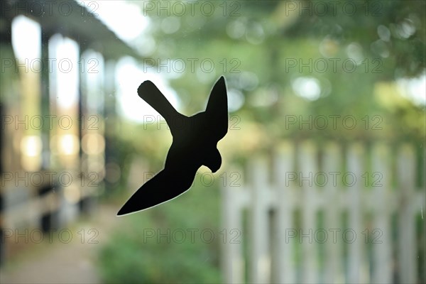 Bird deterrent 'falcon' on window