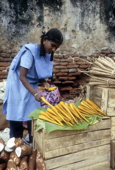 School girl purchasing Palmyra Tuber at Tirunelveli
