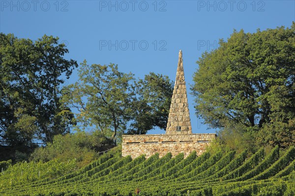 Goethe stone with vines in Frauenstein