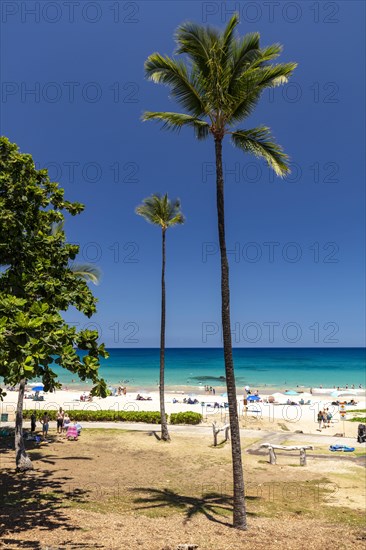 Hapuna Beach State Recreation Area