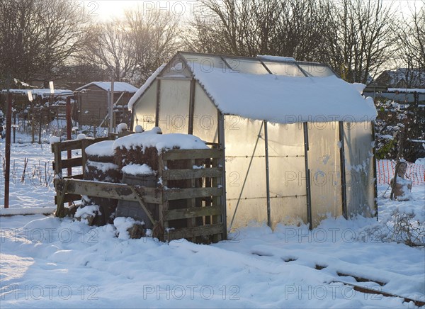Snow covered urban allotment with greenhouse and compost bins