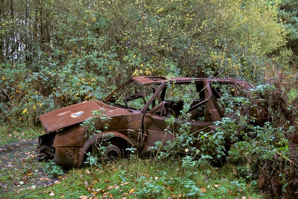 Abandoned car rusts in beauty spot