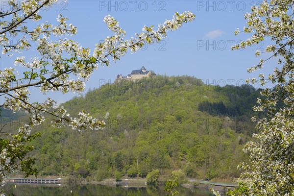 Waldeck Castle