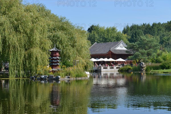 Chinese Garden