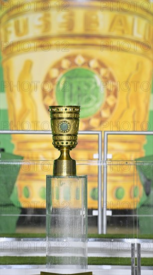 DFB Cup trophy on pedestal