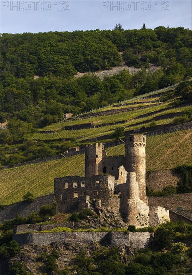 Ehrenfels Castle