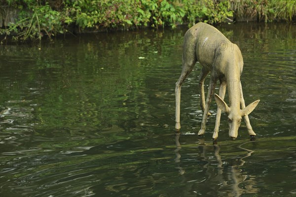 Sculpture White Deer by Michael von Brentano 2010 in Nerotal-Anlagen