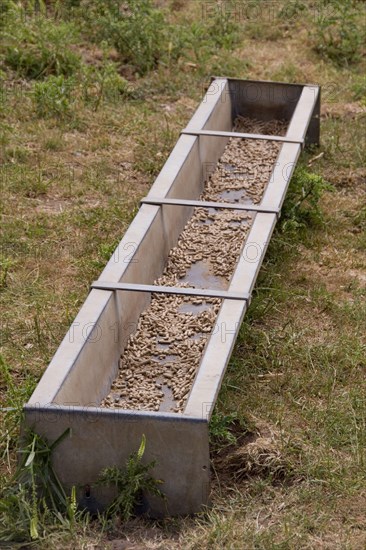 Feeding troughs