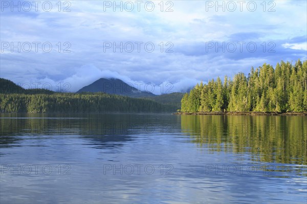 View of coastline and temperate coastal rainforest in evening