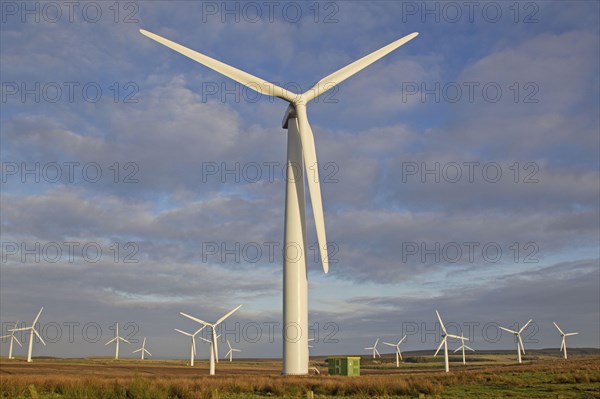 Wind turbines on Moorland wind farm