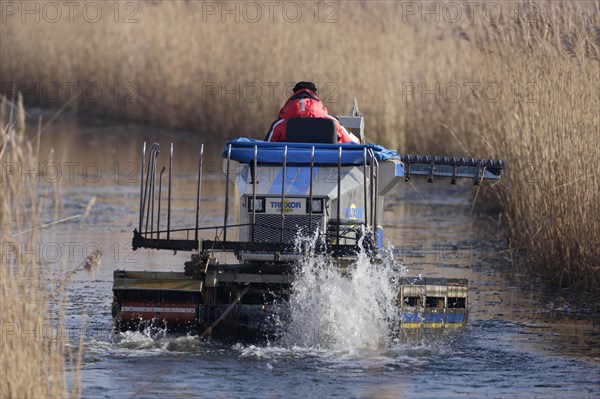 Truxor DM 5000 amphibious machine controlling reed growth by cutting back reeds to keep water channels clear