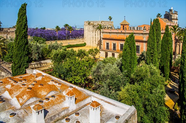 Moorish bath in the Alcazar