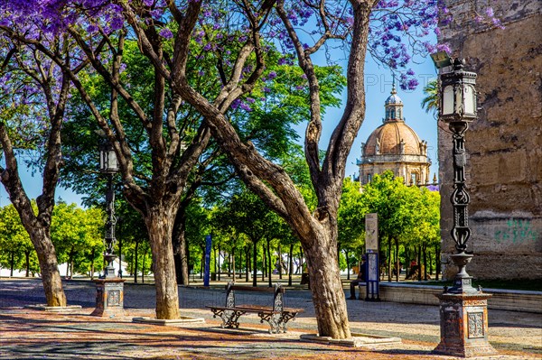 Square in front of the Alcazar with Jacaranda trees