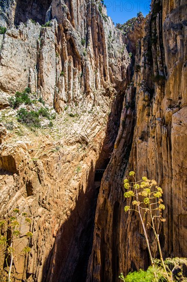 Hiking the Steeple