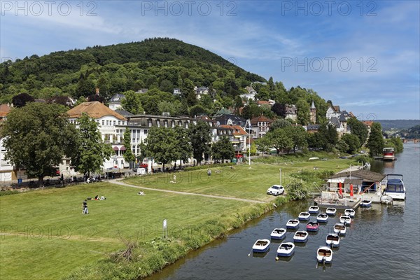 Neckar meadow