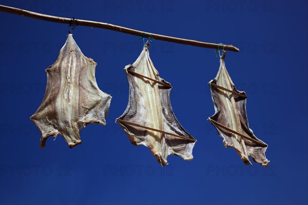 Camara de Lobos