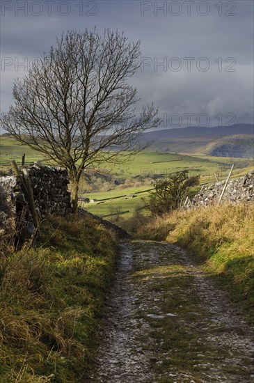 Bridleway meanders between dry stone walls in upland farmland