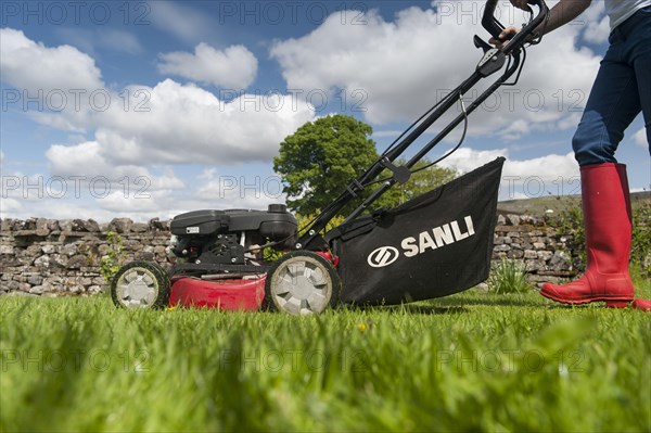 Lady mowing garden lawn with petrol-powered lawnmower. Hawes