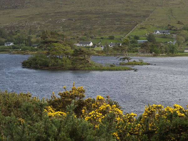 Landscape at Lough Bofin. Lough Bofin is located on the N59 road about 10 km west of Oughterar and is part of the Connemara Bog Complex Special Area of Conservation. Lurgan