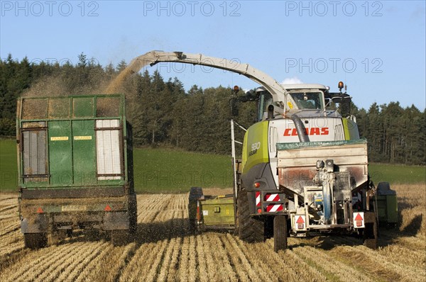 Claas forage harvester unloading into a tractor and trailer