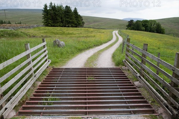 Cattle grid on narrow country lane