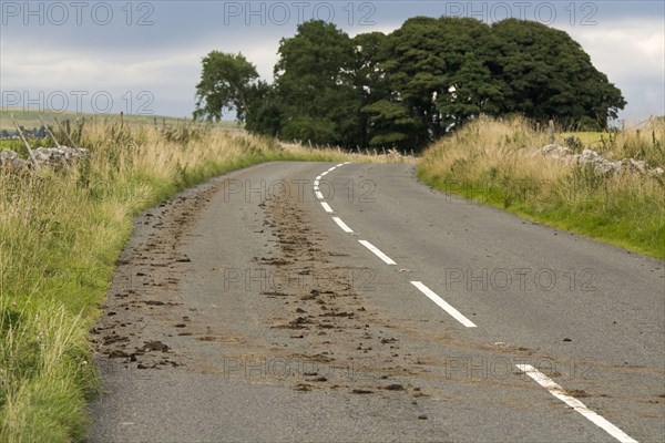 Mud on the main road after a tractor came out of the field with mud on its tyres