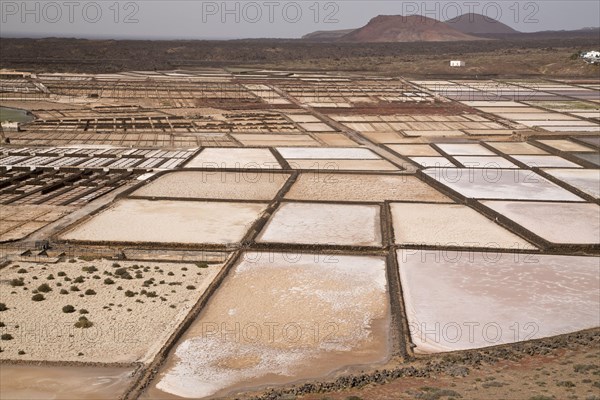 View of active coastal saltpans