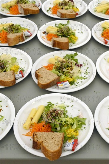 Mixed salad with sliced cheese and sprouts